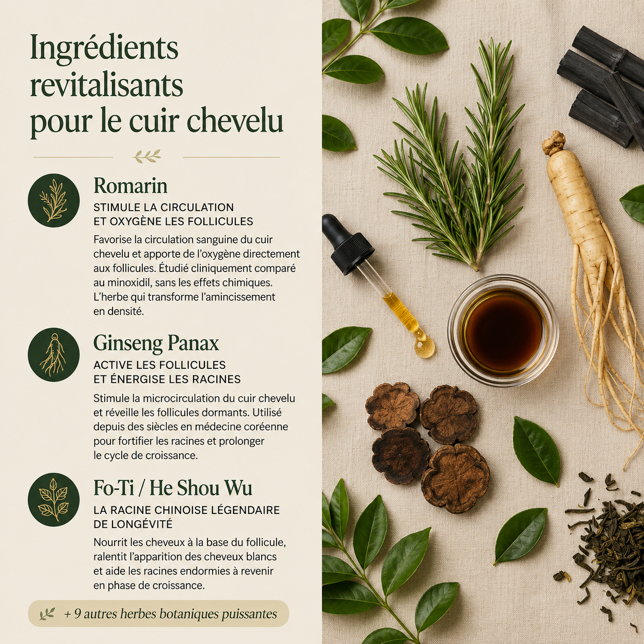 Norysia Rituel Coréen du Cuir Chevelu™